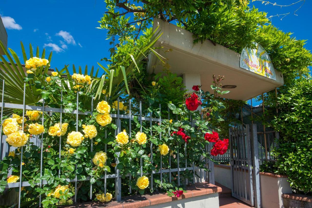 Bed&Breakfast Profumo D'Estate Agliana Exterior foto